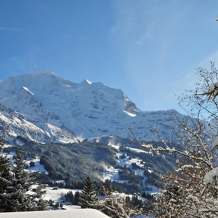 Apartment Primula By Interhome Wengen Eksteriør bilde